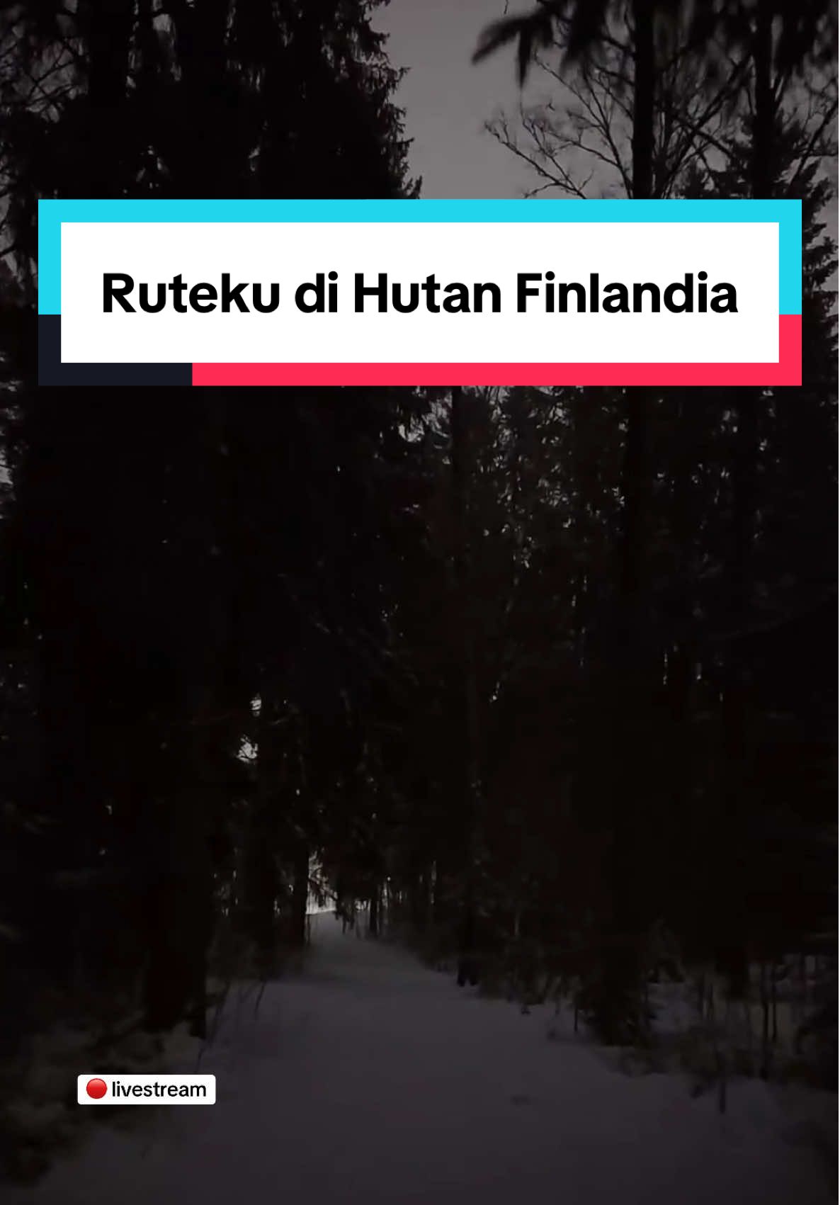 Replying to @Liliput Masuk hutan Finlandia gelap-gelapan Hutan Finlandia menutupi lebih dari 70% daratan. Selain hutan yang luas, Finlandia memiliki 188.000 lebih danau yg bersih tanpa pencemaran. Itulah kenapa, Finlandia memiliki kualitas air dan udara yang sangat bagus. Aku suka LENKKI (jalan kaki). Kuusahakan minim 10 ribu langkah setiap hari. Jadi untuk memenuhi itu, saat hari kerja aku jalan kaki ke tempat kerja sejauh sekitar 1km, walaupun aku punya kendaraan baik sepeda, motor & mobil butut (biar yg julid gak bilang OKB). Hutan dan danau adalah favoritku untuk jalan dan jogging, baik saat musim panas yang asri ataupun saat musim dingin yang syahdu. Musim panas ceria dengan suara kicauan burung, musim dingin estetik seperti di negeri dongeng. Danau yang beku jadi tempat favoritku untuk jalan. Kenapa aku merasa aman dan nyaman jalan-jalan malam di hutan Finlandia 1. Binatang Hewan buas beruang, serigala, hanya ada di hutan besar, biasanya jauh dari pemukiman penduduk termasuk rusa besar. Binatang liar seperti yg ada di hutan di area perumahan hidup berdampingan dengan manusia. Bahkanemereka datang ke halaman rumah untuk makan saat winter, tanpa merasa takut diburu. Kalo liat aku live, temen-temen kan sering liat tupai, kelinci, burung-burung, pundung semut, rusa kecil, landak dll. Danau di Finlandia tidak ada buayanya ya. Juga gak mungkin ada harimau krn habitat hewan-hewan tersebut bukan di negara 4 musim. Selama belasan tahun di Finland, belum prnh liat ular, karena biasanya mereka menjauhi manusia. Hanha ada ular-ular kecil, wlpn ada yg berbisa tp jarang keliatan. 2. Negara Finlandia minim kriminalitas. Apalagi jambret, begal dan sejenisnya karena masyarakatnya sudah sejahtera. Penjahat kaya yg di film2 macam sikopet ada, tp kemungkinannya sangat minim. Namun harus tetap hati-hati. Kebetulan di lingkungan aku tinggal, blm pernah dengar kejadian seperti ini. Tapi apes gak ada dikalender ya, jadi aku tetap waspada saat keluar sendirian. Kriminal di Finlandia paling byk pimbinihan yg kasusnya krn kekerasan dg motif ttt, rumah tangga, siksial baru krn ekonomi dimana sangat minim krn asal masuk sistem biasanya dpt tunjangan. Apakah ada orang miskin di Finlandia? Ada, tp tingkat kemiskinan yg aku lihat tdk sprti di negara lain yg prnh aku tinggali (berdasarkan point of view). Itulah kenapa negara ini masuk dlm daftar negara minim kriminalitas. 3. Hantu Kuntti, poci, sunddel bolongg di Finlandia enggan keluar. Kalo musim panas terang terus, kalo musim dingin terlalu dingin. Kalo ketemu ntar kuajak ngonten aja. Belum pernah denger juga cerita kalo ada yg digondol wewe atau demmit genederuwo dan sekawanannya. Aku juga belum kenalan sama jenis hanttu di Finlandia, makanya belum tau nama mereka. Itulah kenapa aku nyaman dan merasa aman saat jalan-jalan menikmati hutan & danau di area aku tinggal ini. #finlandia #chimyinfinland #chimyhutan #LIVEhighlights #TikTokLIVE #LIVE 