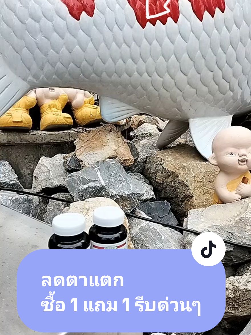 ไม่อยากแก่ ไม่อยากโทรม ต้องทานแอสตร้าแซนธิน ทุกวัน โปรด่วน 1 แถม 1📌 มารักร่างกายกันเถอะ♥️ #แอสตร้าแซนธิน #astaxanthin #vitaminE #coenzymeQ10 #ต้านแก่ #ต้านแก่ชะลอวัย #ชะลอวัย #TikTokShop #tiktokป้ายยา #คุ้มมาก #รีวิวบิวตี้ #รีวิว #superra @วิตามิน อาหารเสริม ความสวยงาม @วิตามิน อาหารเสริม ความสวยงาม @วิตามิน อาหารเสริม ความสวยงาม 