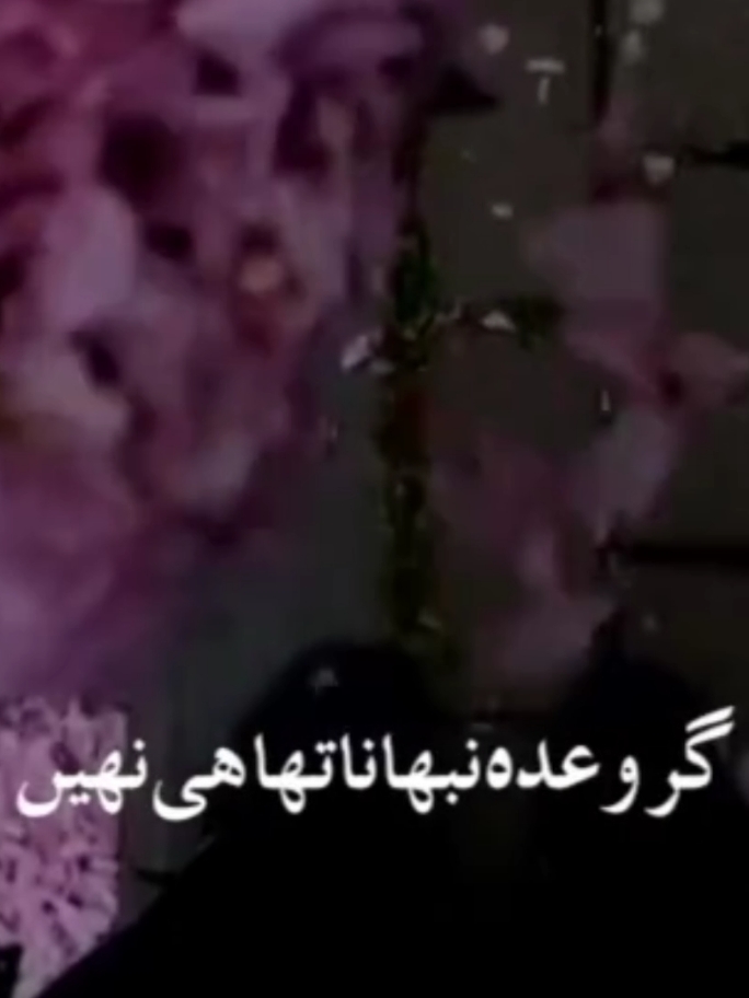 🌸🌸کیوں بات بڑھائی تھی🌸🌸