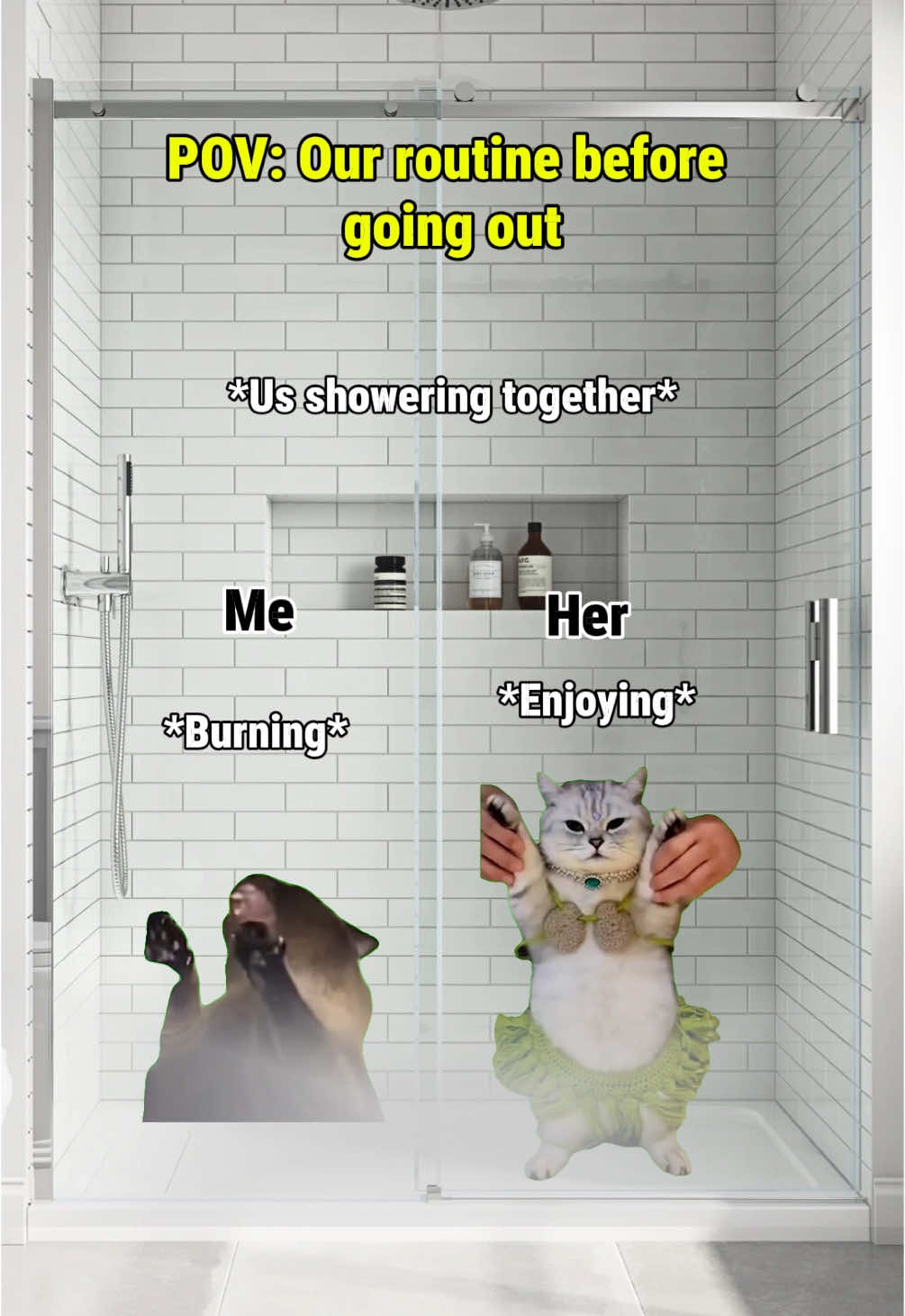 Our routine before going on a date 😍 #catmeme #relatable #catsoftiktok #Relationship 