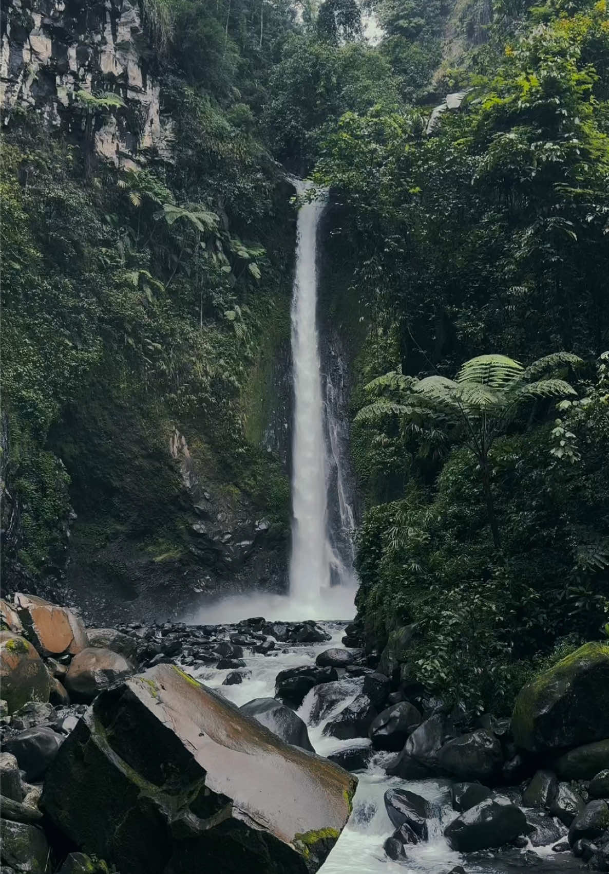 CURUG PALING INDAH DI BATANG, versi saya.. Cakep poll!!!! 😭🔥#CapCut #foryou #fyp #4u #4upage #4you #xyzbca #masukberanda #fypシ #foryourpage #fyppppppppppppppppppppppp #curuggenting #curuggentingbladobatang #blado #batang #jawatengah #TikTokAwardsID 