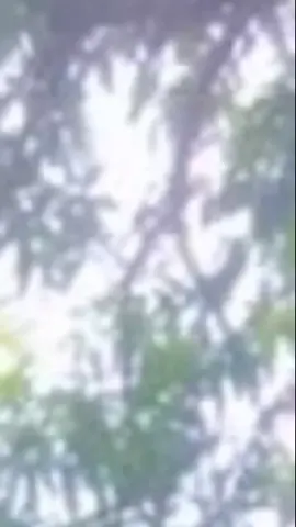 ආදරෙයි නම් එන්න මා වෙත චාටු බස් නොකියන් 
