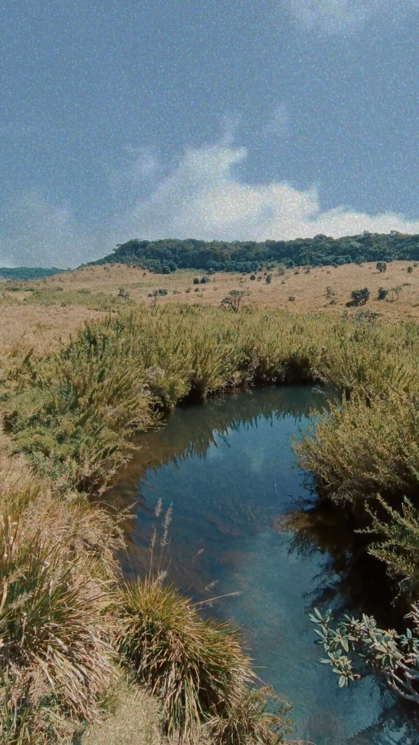 #hortonplains #hortonplainsnationalpark 