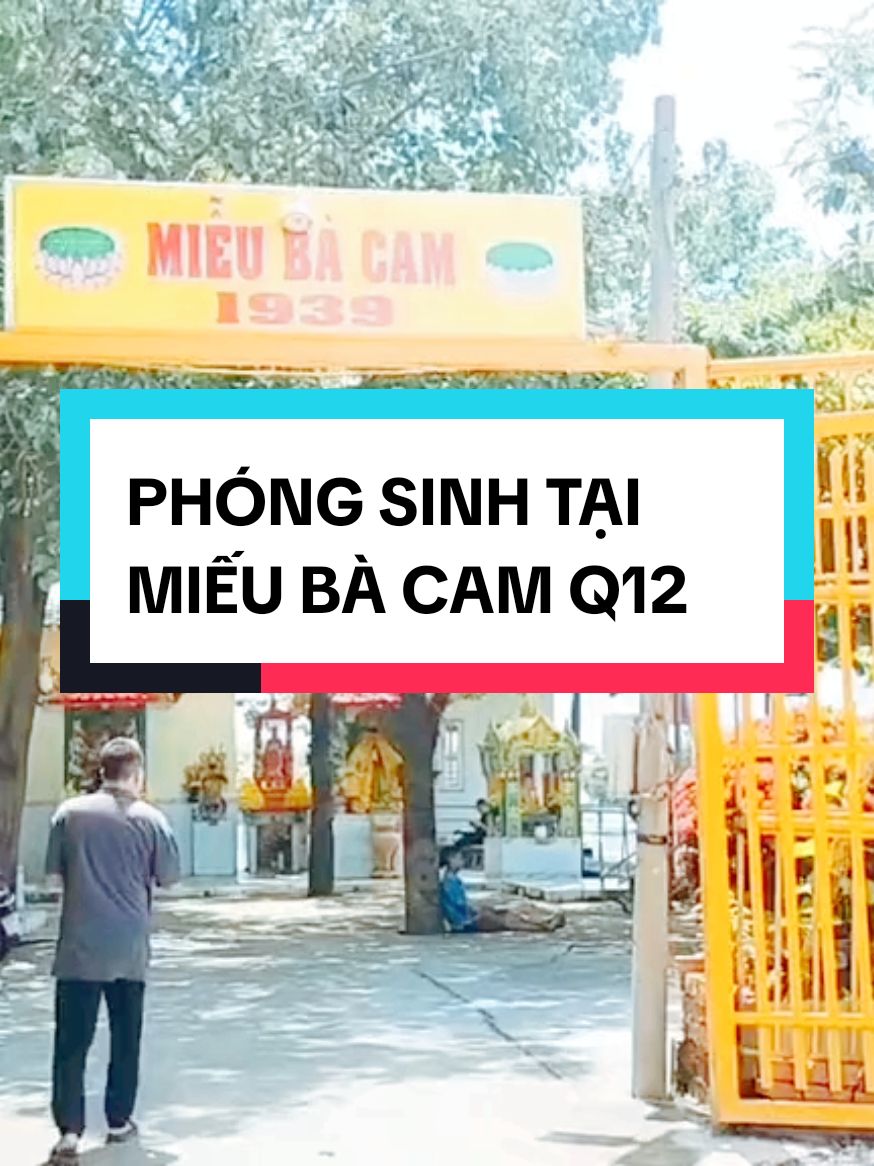 PHÓNG SANH TẠI MIẾU BÀ CAM🌿🙏🪷