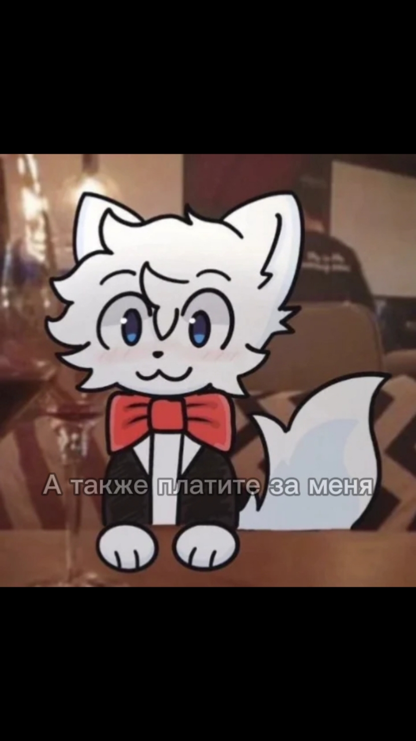 ну реееальнаа Кстати жду всех в Дискордике :3 #sillycat #кот #furry #furryfandom #furrytiktok 