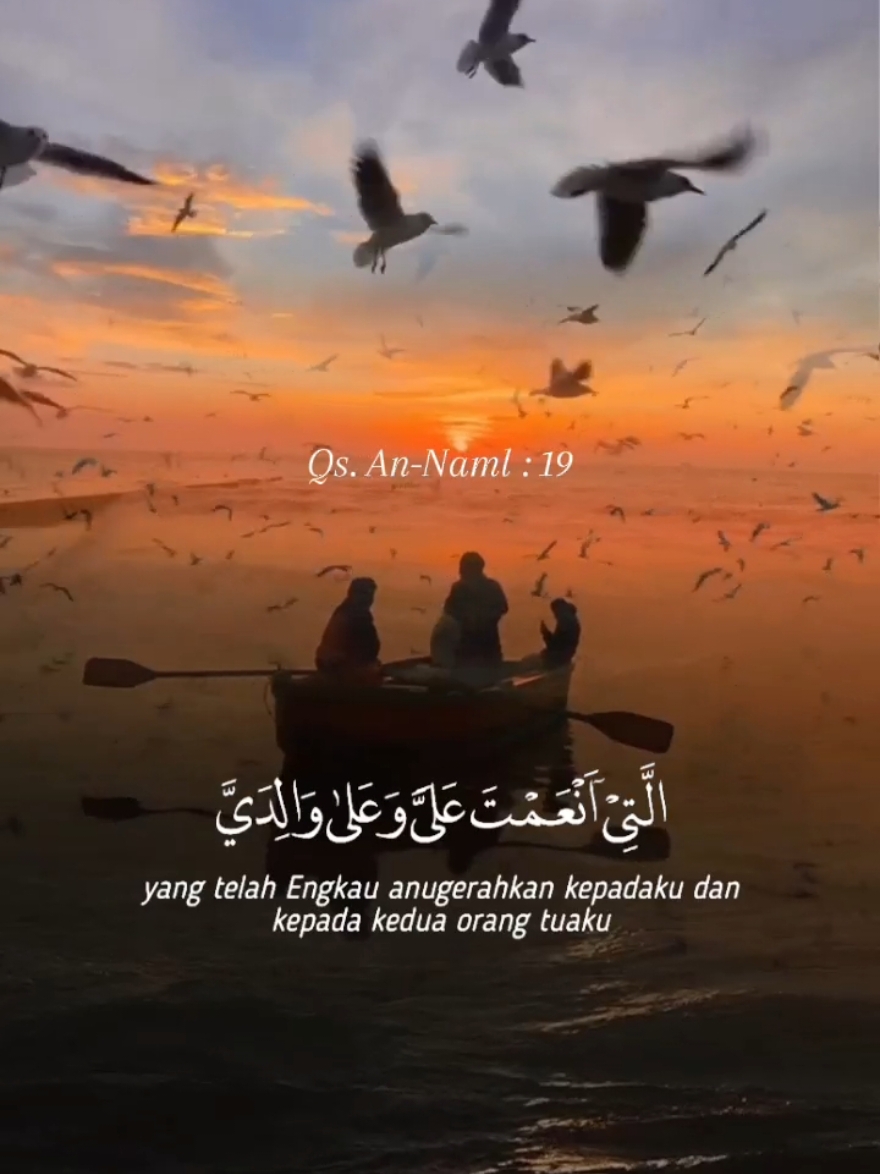 Qur'an Surat An-Naml Ayat : 19 #quotesislamic  #murottalquran  #tilawahquran  #quranmerdu  #qurankarim  #TikTokAwardsID  #doaterbaik 