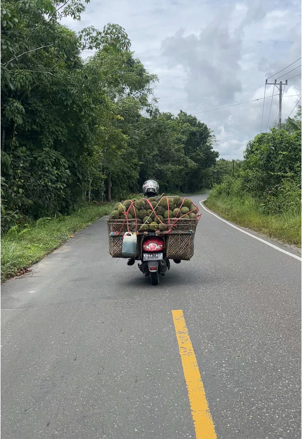 Musim duhian pahari 😁 #zxycba #lintaskalimantan #muarateweh #barsel #buntok #duriankalimantan 