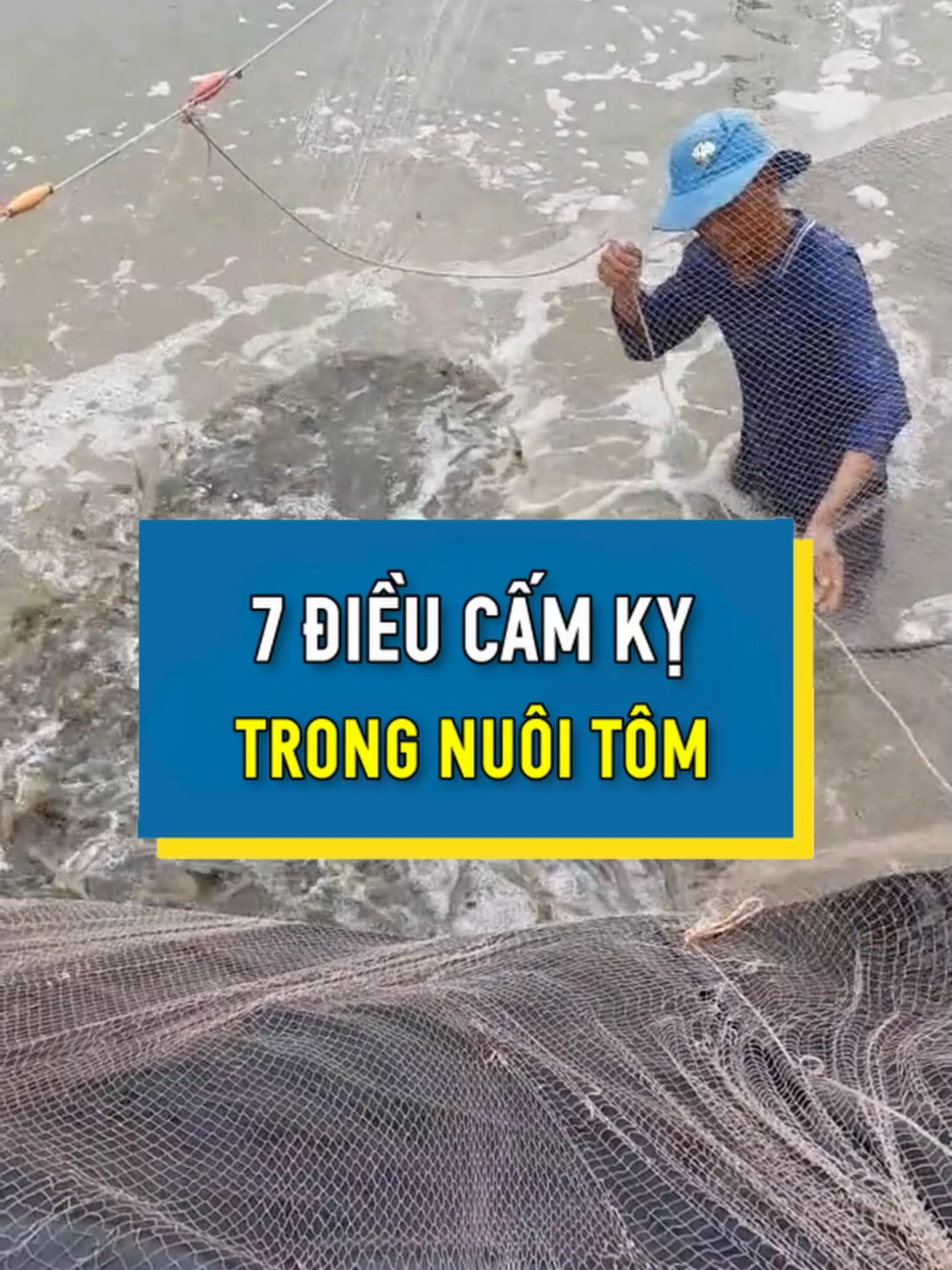 Nuôi tôm hệ tâ.m li.nh và những điều cấ.m kỵ trong nuôi tôm. #giatom #tintuc #xuhuongtiktok2024 #vftgroup #tintucthuysan #xuhuong #tomthe #yfp #viral #xuhuong2024 #tomsu #thuysan #nuoitom #thinhhanh #nuoitomdungcach #nuoitomcongnghecao #giatomhomnay #nuoitomthe #camky