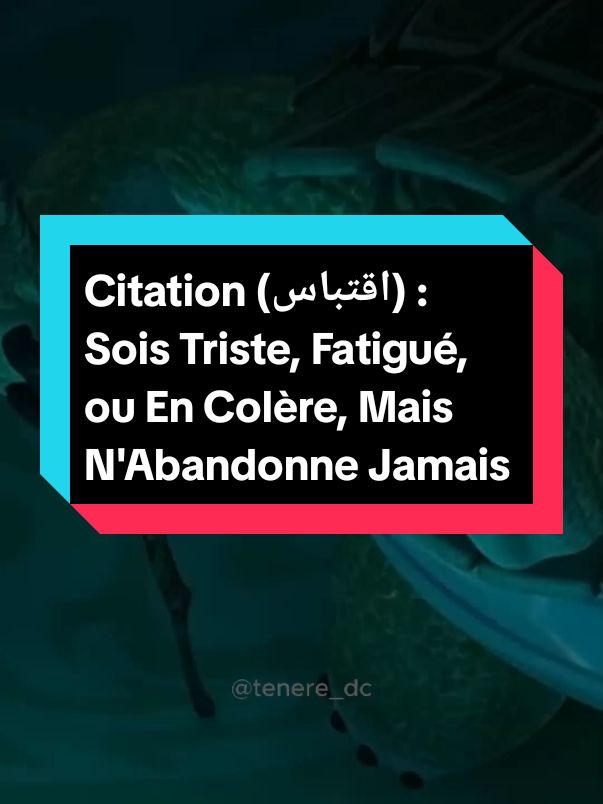 Citation (اقتباس) : Sois Triste, Fatigué, ou En Colère, Mais N'Abandonne Jamais #اقتباسات #citationdujour #citation #leçon #conseil #trendingvideo #pourtoi 