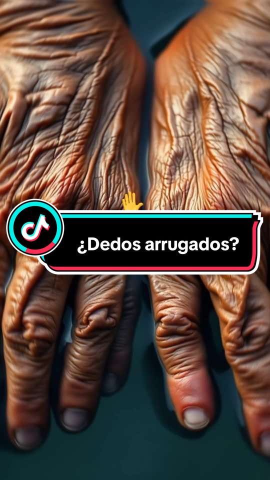 ¿ Por qué se nos arrugan los dedos en el agua? Todo es pura ciencia. Te lo explico en 60 segundos. #ciencia #biologia #datoscientificos #pontetrucha #cosasquenosabias #cuerpohumano #dedosarrugados #agua #water #evolucion 