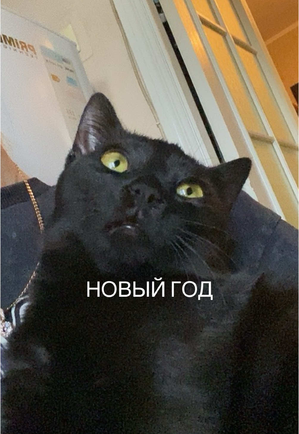 #новыйгод 