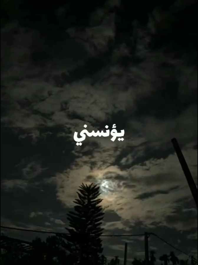 لا_ليل_بعدك_يؤنسني#♥️ #حب #حالات_واتس #تصميم_فيديوهات🎶🎤🎬 #explore #مرثيات💔🥀 #الشعب_الصيني_ماله_حل😂😂 #♥️ #foryou 