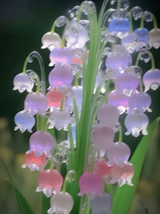 Bunga Lily Of The Valley #fyp #lewatberanda #jj #fouryou #fouryoupage #sorotan 