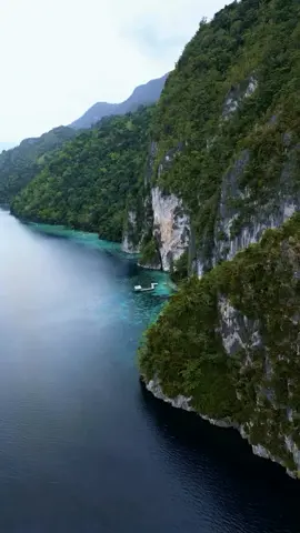 This is what peace looks like: crystal waters, insane cliffs, and total solitude 🌊🌴. Tebing Batu Hatupia is calling your name, and it’s a vibe 💙. 📍Tebing Batu Hatupia , Central Maluku 🎥IG: @vinaarysthadewi #WonderfulJourney #WonderfulIndonesia #CentralMaluku #TebingBatuHatupia #NatureEscape