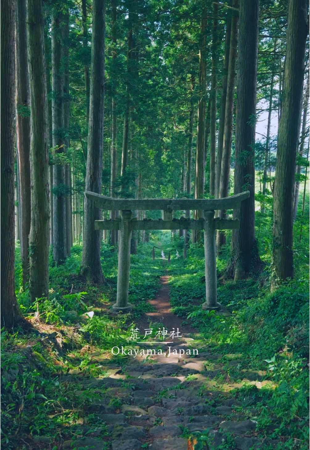 真っ直ぐ続く参道にひっそりある鳥居が神秘的な神社 📍岡山県【荒戸神社】/ 🇯🇵Okayama Prefecture 【Arato Shrine】 A mysterious shrine with a torii gate quietly on the straight approach I really got goosebumps when I saw this torii #岡山 #神社 #okayama 