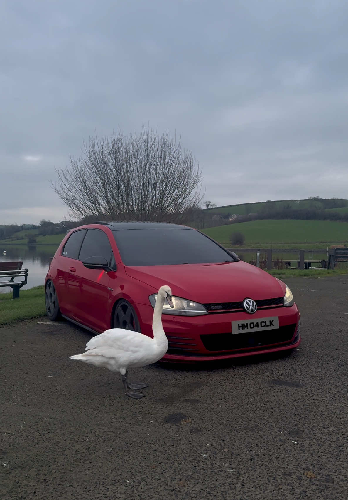 No swans hurt in the making👀 #fyp #raceland #irishcarscenes #jamiezcarz #gtd #mk7 