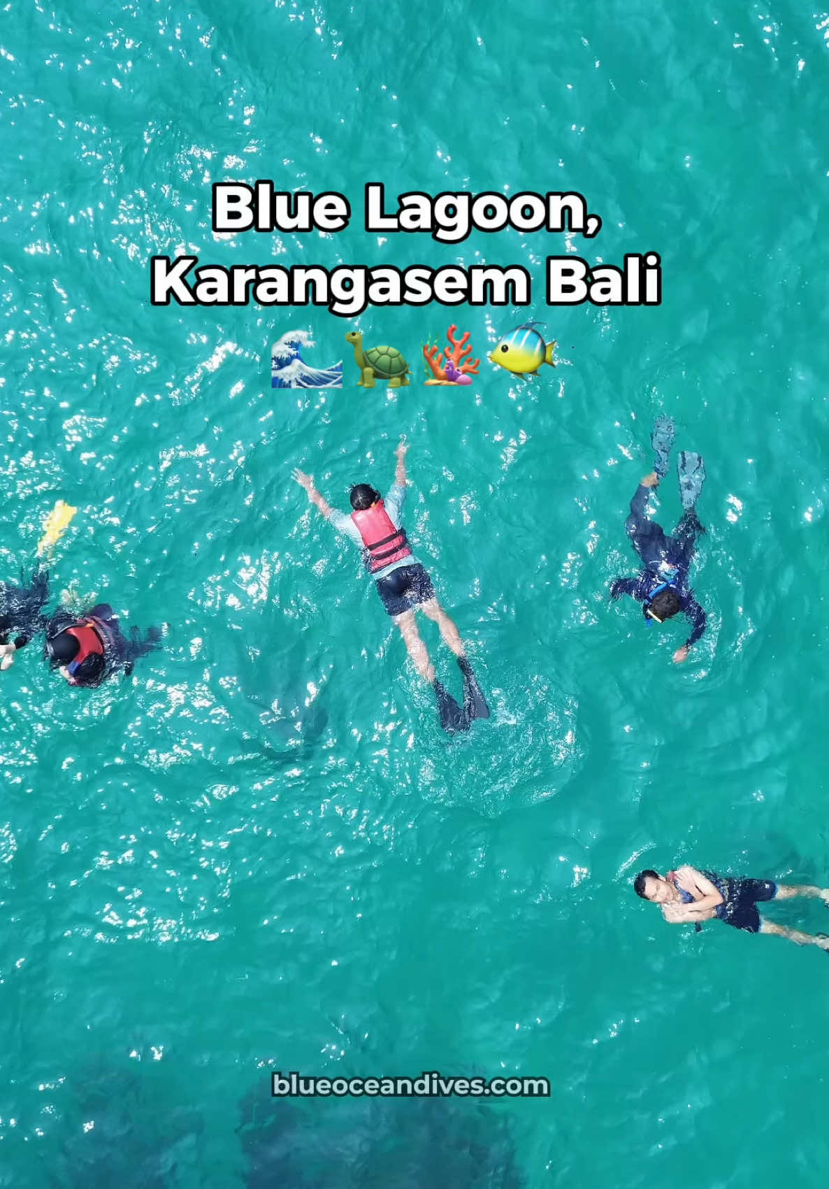 Bluelagoon the best place for snorkeling🌴🌊 📍Bluelagoon, Padangbai. #snorkeling #snorkelingbali #snorkelingmurah #bluelagoon #pesonaindonesia #blueoceandive #fyp 