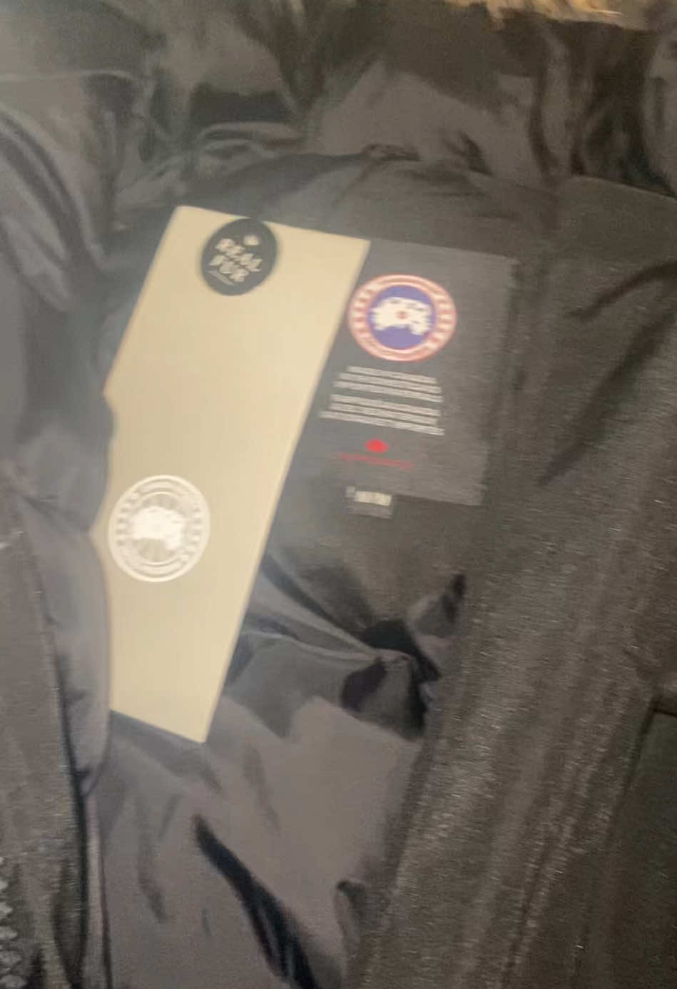 Canada Goose Chilliwack! Message me to order #fyp #canadagoose #canadagoosefur 