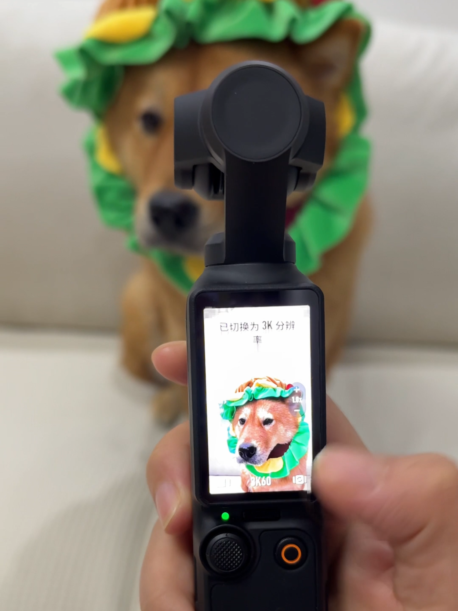 The puppy OS: 