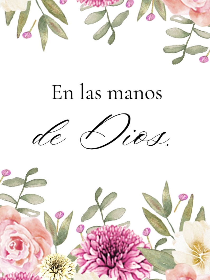 En las manos de Dios. Cuando colocas tu vida en las manos de Dios, lo imposible se convierte en posible, y cada paso se llena de propósito. Permite que Su paz guíe tu corazón y Su amor fortalezca tu espíritu.  #semillasdeamorparacadadía #latiendadearyam #enlasmanosdedios #dios #elamordedios #dioscuidadeti #paz #serfeliz #fortaleza #ánimo #fé #esperanza #latinosenusa #latinos #latinoMotivation #reflexionesdelavida #reflexión #frasesparacompartir #frasedeldía #frasesparadedicar #espiritual #oracióndelamañana 