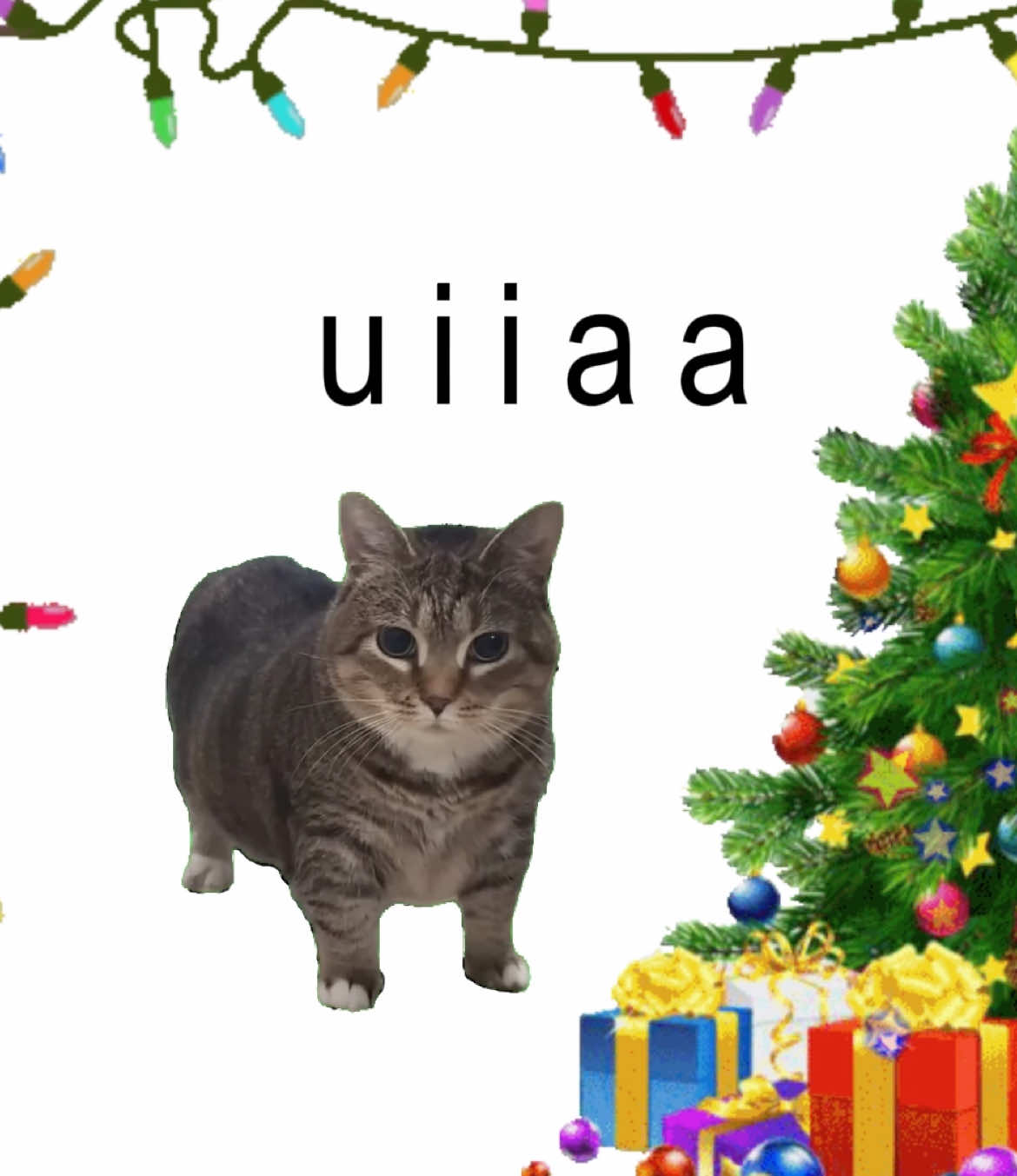 all i want for christmas is uia #cats #fyp #foryou 