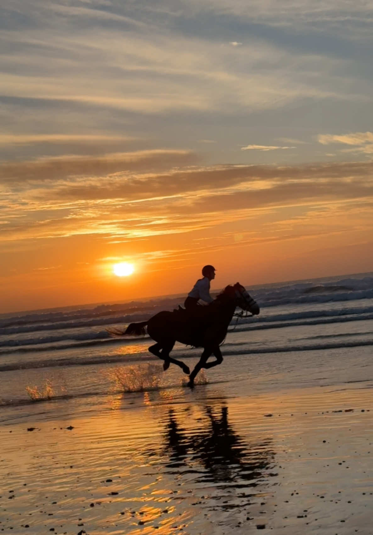 This is freedom 🧡 #freedom #horseriding #essaouira #marocco #fyp #vjp @Cheval Essaouira🤠 