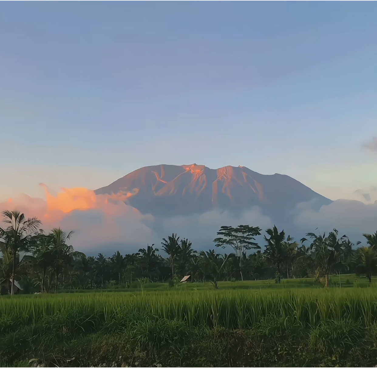 #CapCut | keinget apa? | #fyp #foryou #foryoupage #aesthetic #cinematic #sunset #sawah #estetik #fypシ #xyzbca 