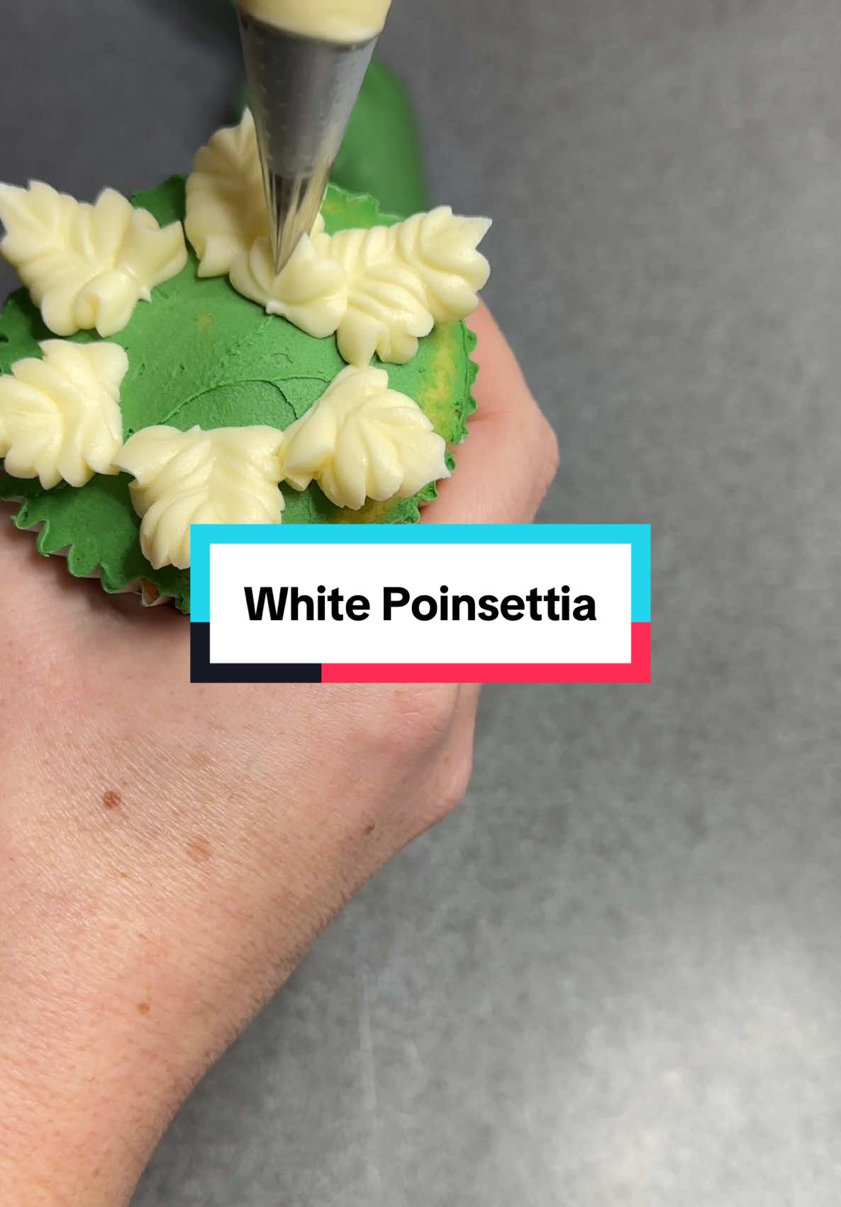 We have had a red poinsettia (see a few videos back), but what about a white one?  I changed up my usual leaf nozzle for the Ateco one, and I think you will agree the ruffle really makes this flower.  Nozzle details and what they look like are in the video and my buttercream recipe is pinned at the top of my page 😊  Happy Saturday! 🎄 #poinsettia #cupcakeflower #buttercreamflower #cupcake #christmascake #christmastiktok #debbiebakes #itschristmastime #christmascakeideas  