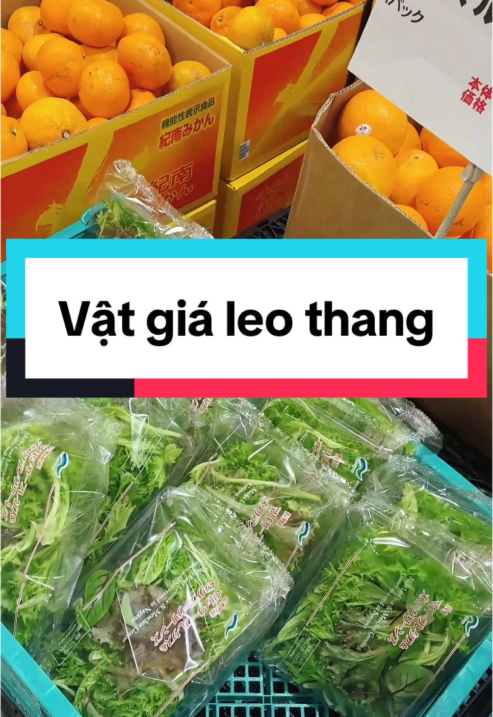 Vật giá leo thang sợ quá huhu 