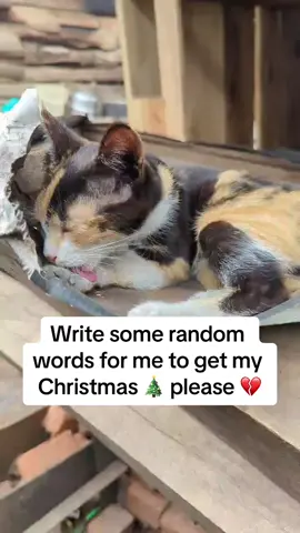 🐾❄️ Christmas is a season of love, yet many dogs in Uganda have never known what love feels like. They’ve been abandoned, hurt, and left to fend for themselves. 💔 At our shelter, we’re giving them a second chance. But we need your help to provide the food and care they desperately need. 🌟 Your donation can mean the difference between hope and hunger. Please, click the link in our bio to give the gift of life this holiday season. 🐕❤️ #DogShelterSupport #ChristmasCompassion #FeedTheHungryDogs #AnimalRescueMission #DogsNeedCare #UgandaDogRescue #PawsOfHope #SaveShelterDogs #HolidayKindness #DogLoversCommunity #RescueDogsMatter #HelpUsHelpThem #christmaswithlove😘😘 