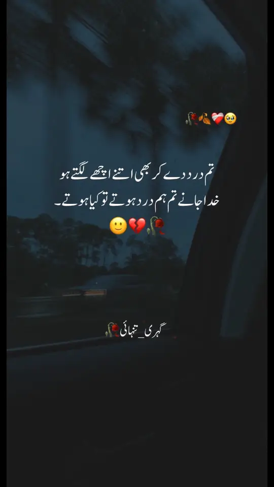 تم درد دے کر بھی اتنے اچھے لگتے ہو خدا جانے تم ہم درد ہوتے تو کیا ہوتے۔ 🙂💔🥀#brokenheart #pleasetiktokteamviralvideo💯 #likesproblem #foryoupagee 