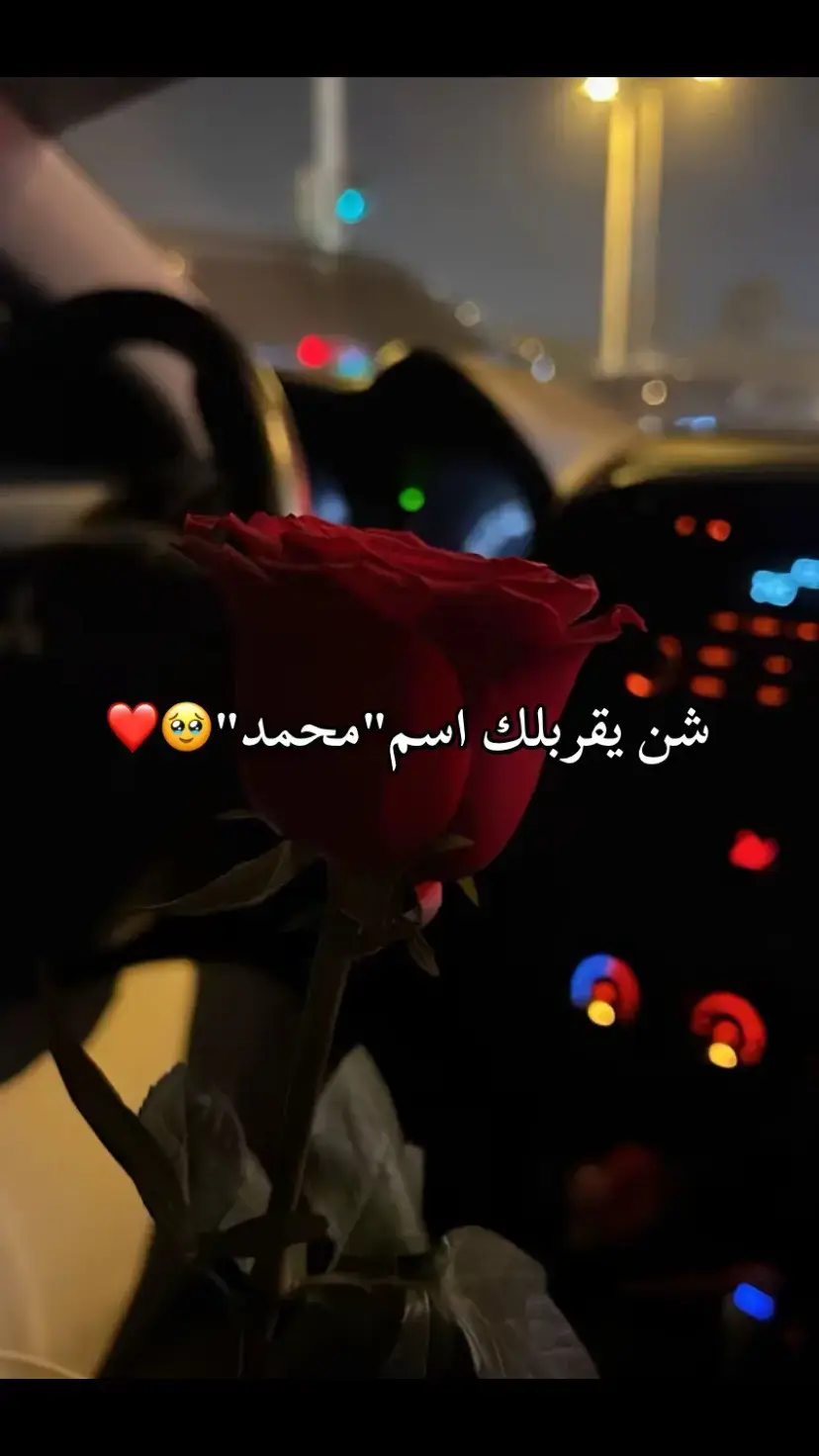 #الحوش-يالي-مافيش-فيه-حميدا🥺🥀