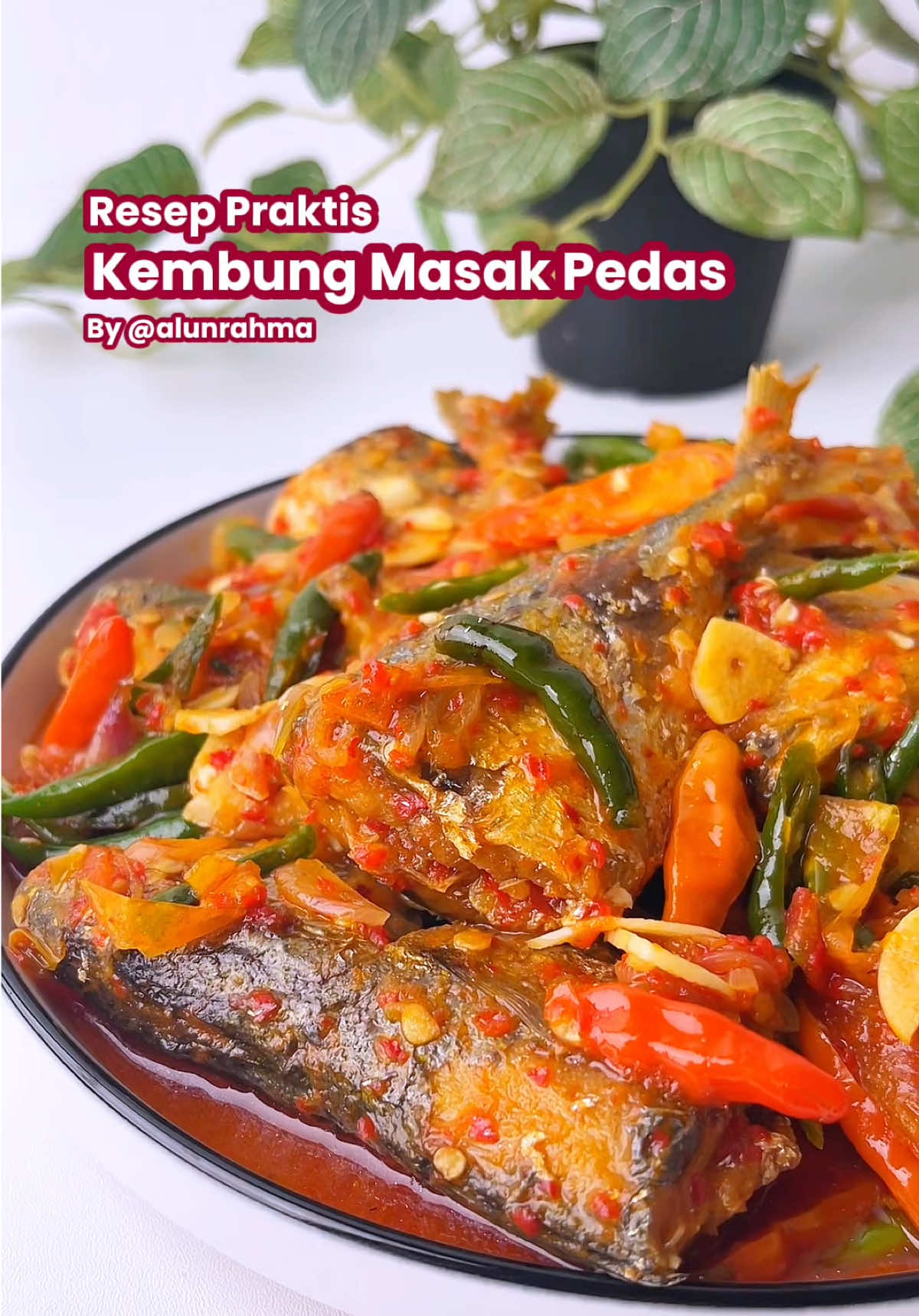 Save Aja Dulu ❤️ - Resep Ikan Enak 🔥 Punya ikan dirumah jangan cuma digoreng aja, cobain bikin ini aja  Marinasi Ikan : 500 gr ikan kembung 1 jeruk nipis, peras airnya 1/2 sdm garam Bahan-Bahan : 5 bawang putih 8 bawang merah 10 cabe keriting merah (haluskan) 2 lbr daun salam 4 lbr daun jeruk 7 cabe rawit merah 2 buah tomat 250 ml air Gula, garam, kaldu jamur 1 sdm saos tiram Secukupnya rawit hijau Secukupnya keriting hijau Yuk jangan lupa cobain #ikankembung #olahanikan #olahanikanalun #resepikan