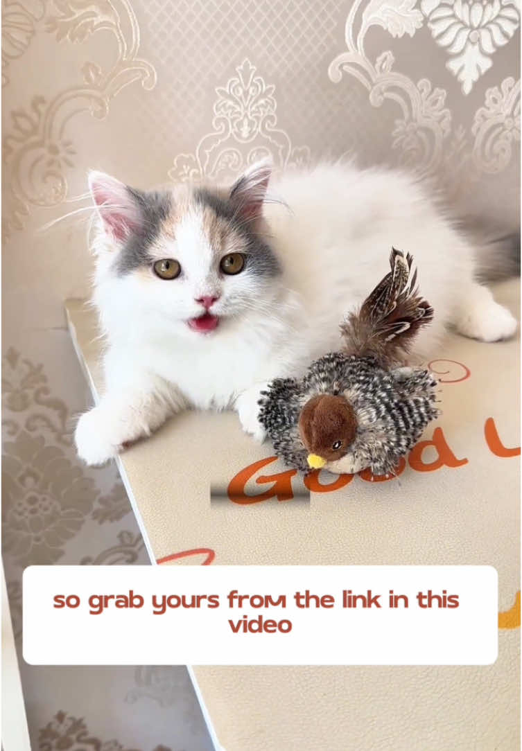 You only need to give the cat a bird toy, and you can protect your furniture from harm.#cattoys #giftforpets #cathangingtoy #catsoftiktok #babycat #happycat #funnycat #fpy #goodthing 