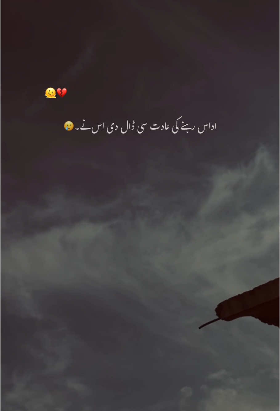 محبت کی سزا بے مثال دی اس نے۔💔#foryoupage #foryou #trending #aesthetic #grow #account #hehe_feroz 