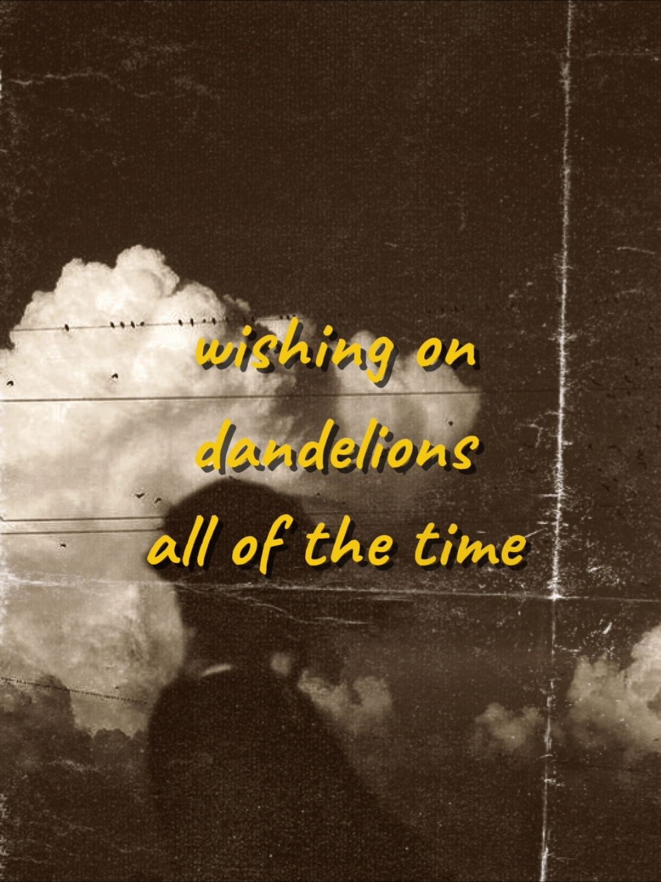 #dandelions #lyrics 