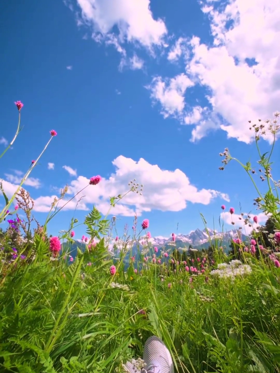 Nature🌿🍃 aesthetic vibes Death bed edit #nature #naturevibes #aestheticnature #peace #peaceful #peaceandlove #naturelove #naturelover #naturelovers #beautiful #beautifuldestinations #beautifulview #beautifulnature #natureviews #sky #vibes #deathbed #aesthetic #aesthetics #nostalgia #nostalgic #livewallpaper #wallpaper #vibes #livewallpapers #2klivewallpapers #tiktokwallpaper #4klivewallpapers #4klivewallpaper #lockscreen #creatorsearchinsight #fakesituation⚠️ #8k #4k #fyp #creatorsearchinsights #lockscreenwallpaper #aesthetics #fypシ  #naturevibes  #nature  #naturelover  #4klivewallpaper  #4klivewallpaper  #livewallpapers  #livewallpaper  #livewallpaper4k  #livewallpaperaesthetic  #livewallpapers4k  #livehdwallpaper  #naturephotography  #ghibli  #ghiblistudios  #ghiblimovie  #ghibliedit  #ghibliworld  #animeworld  #anime  #aesthetick  #gambar  #animeaestheticedit  #fondosdepantalla  #fondodepantalla  #4khdquality  #4kwallpaper  #warning  A #fakeall  #fakesituation  #clouds  #tiktokdonttakethisdown  #popularvideo  #trendingvideo 