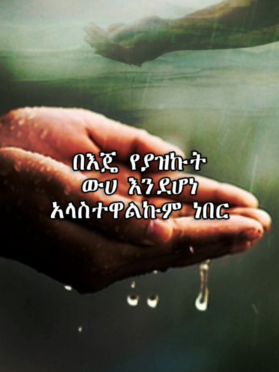 በእጃችን ታግለን ይዘን ለማስቀረት የሞከርናቸው ውሀ የሆኑ ሰዎች?#fyyyyyyyyyyyyyyyy #kibromina #foryou #ግጥም #vairal #ክብሮሚና #ethiopian_tik_tok #habeshatiktok 