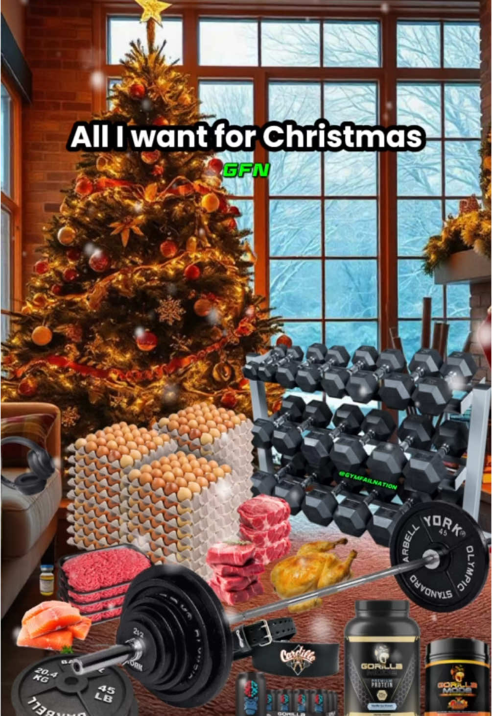 The perfect Christmas 🎄🎁 #gym #gymmeme #christmas #protein #preworkout #gymhumor #fyp 