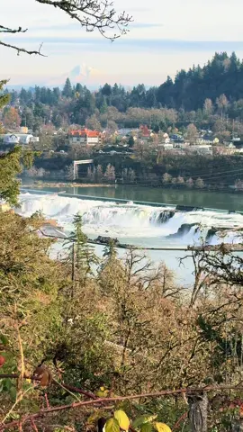 Wilamette falls- im so excited for the project that will give closer access to this waterfall near Oregon City #pnw #pnwlife #Hiking #waterfall #willamettefalls 