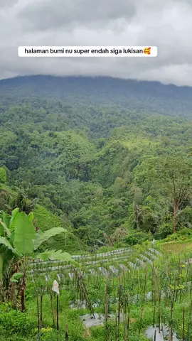 suasana alam desa NU Endah  #suasanapedesaan #suasanaalam #kehidupanpedesaan #lagusunda #pegunungan #pemandangan #fyppppppppppppppppppppppp 