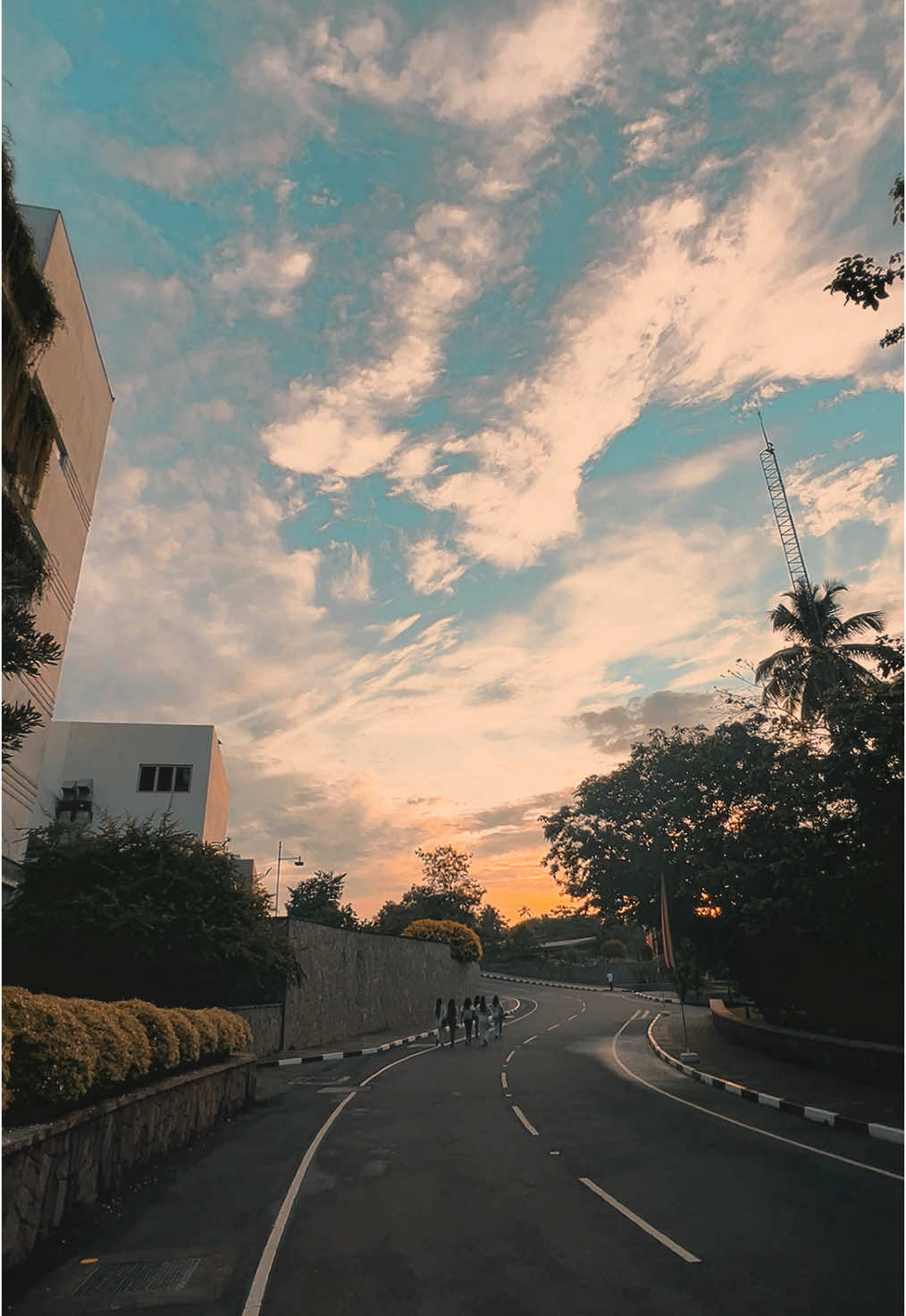 දවසක,හවසක NSBM 🌅💚 @NSBM Green University #NSBM #nsbm #nsbmgreenuniversity #nsbmgreenuniversity🍃💚 #nsbmvsousl #sapumal #sapumalsnavanjana #Love #🌹 #friends #sunset #srilanka #university 