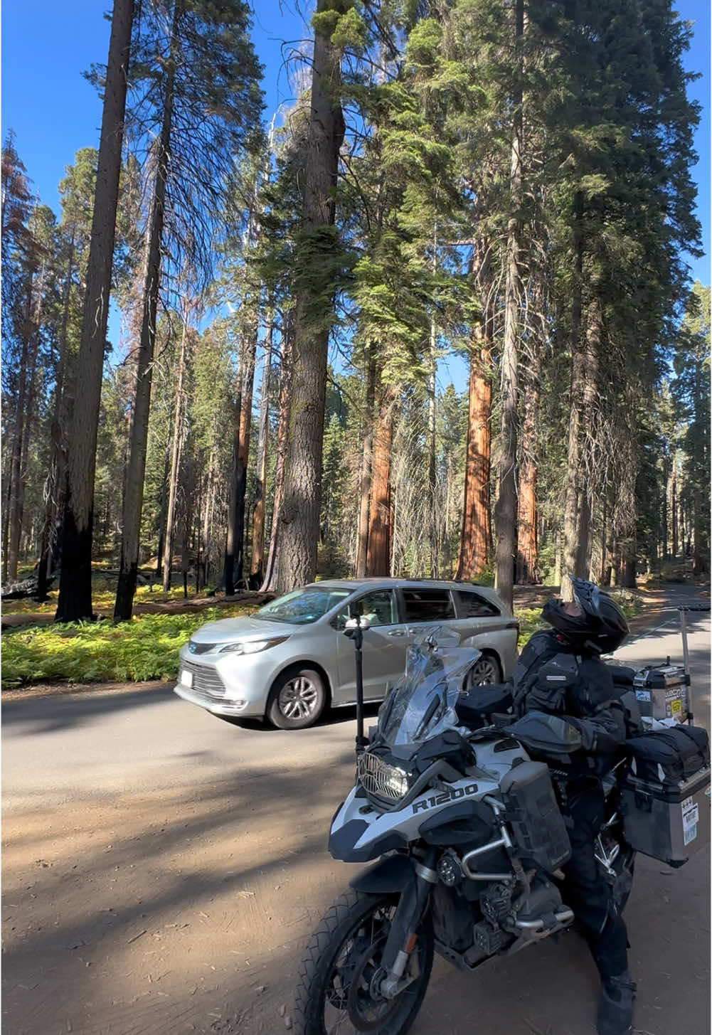 Entre gigantes con @Soulmet Moto Travels #sequoia #bmwmotorrad #motociclista #viral #fyp #forrest #nationalpark #motociclismo #dobleproposito 