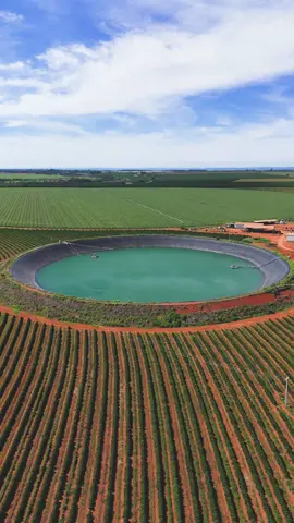 Este é um projeto grandioso da Goiás Impermeabilizações: um piscinão circular com capacidade para impressionantes 100 milhões de litros, totalmente revestido com geomembrana PEAD, garantindo impermeabilização de alta qualidade e durabilidade. Ao redor, a perfeição das plantações com linhas meticulosamente definidas forma um cenário que une tecnologia, eficiência e sustentabilidade no agronegócio. Este piscinão não só armazena água de maneira segura, mas também contribui diretamente para uma produção agrícola mais responsável e sustentável. Um exemplo de como o agro pode ser moderno e ao mesmo tempo respeitar o meio ambiente. 🌱💧#inovação#fyp #AgroÉVida #MeioAmbiente #Sustentabilidade #ÁguaÉVida #TerraFértil #AgriculturaSustentável #AgroÉTop #TecnologiaNoCampo #GestãoDeÁgua #GeomembranaPEAD #InovaçãoNoAgro #ProduçãoResponsável #AgroNãoPara #Satisfatório #AgroTech #DesenvolvimentoSustentável #ÁguaTerraSustentável #AgroEficiente #PivôCentral #FuturoDoAgro #arvore #natureza #rural #sustentabilidade #agronaopara