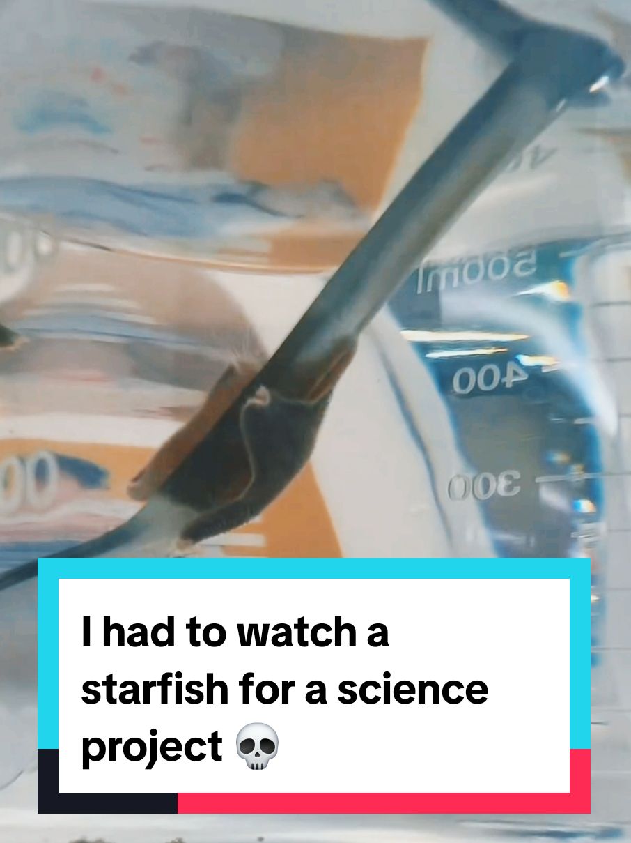 Replying to @an_artist_named_dawn I had to watch a starfish for a science project 💀 #science 