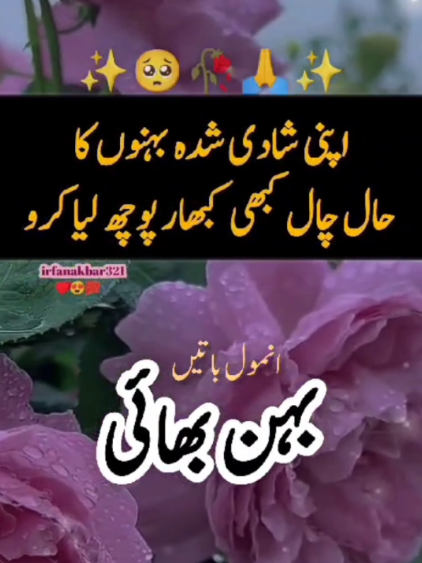 anmol baten Behan bhai#islamic_video #urdupoetry #learnwithtiktok #video #viral #trending #tiktok #foryoupage #foryou #fypシ゚viral #motivation #sad #irfanakbar321 