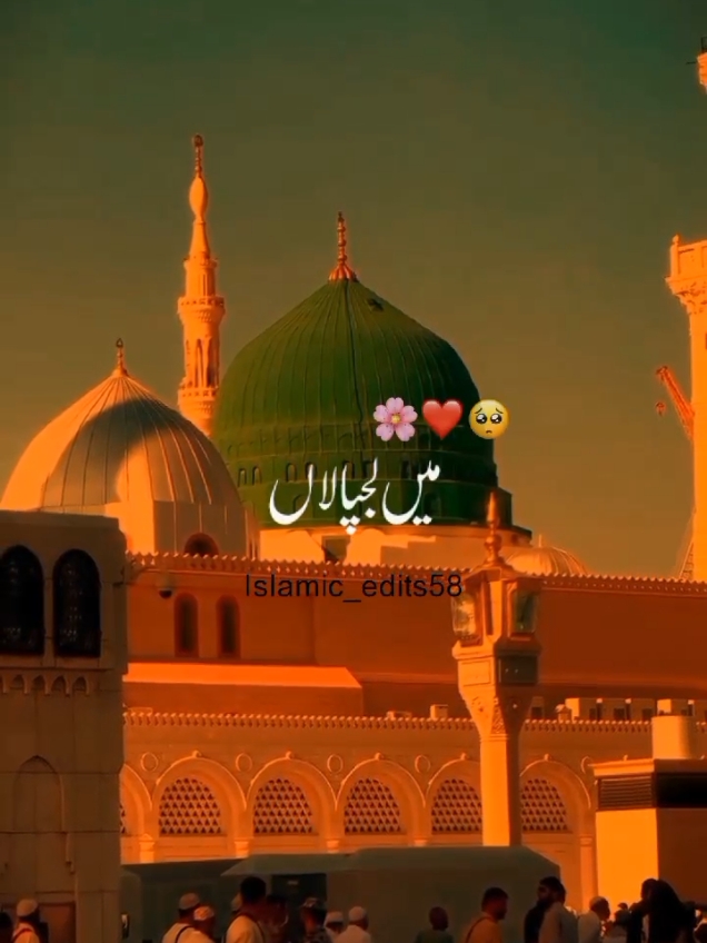 #beshak_subhanallah🕋🕌🤲🤲 #saw #dontunderreviewmyvideo #islamic_video #viralvideo #foruyou #viral @TikTok 