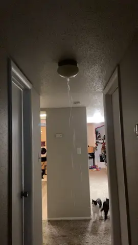 I don’t think that’s supposed to happen…. Water coming from light fixtures #maintenance #emergency #water #apartment #flooding #omg 