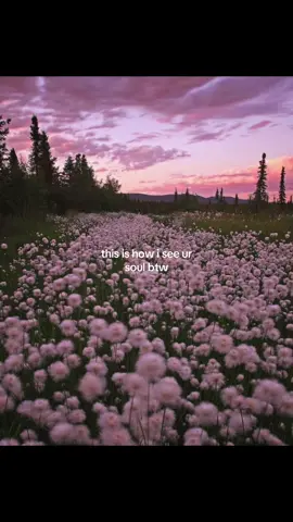 Love it so much ! 💗#soul#btw #beautiful#fy#fyp