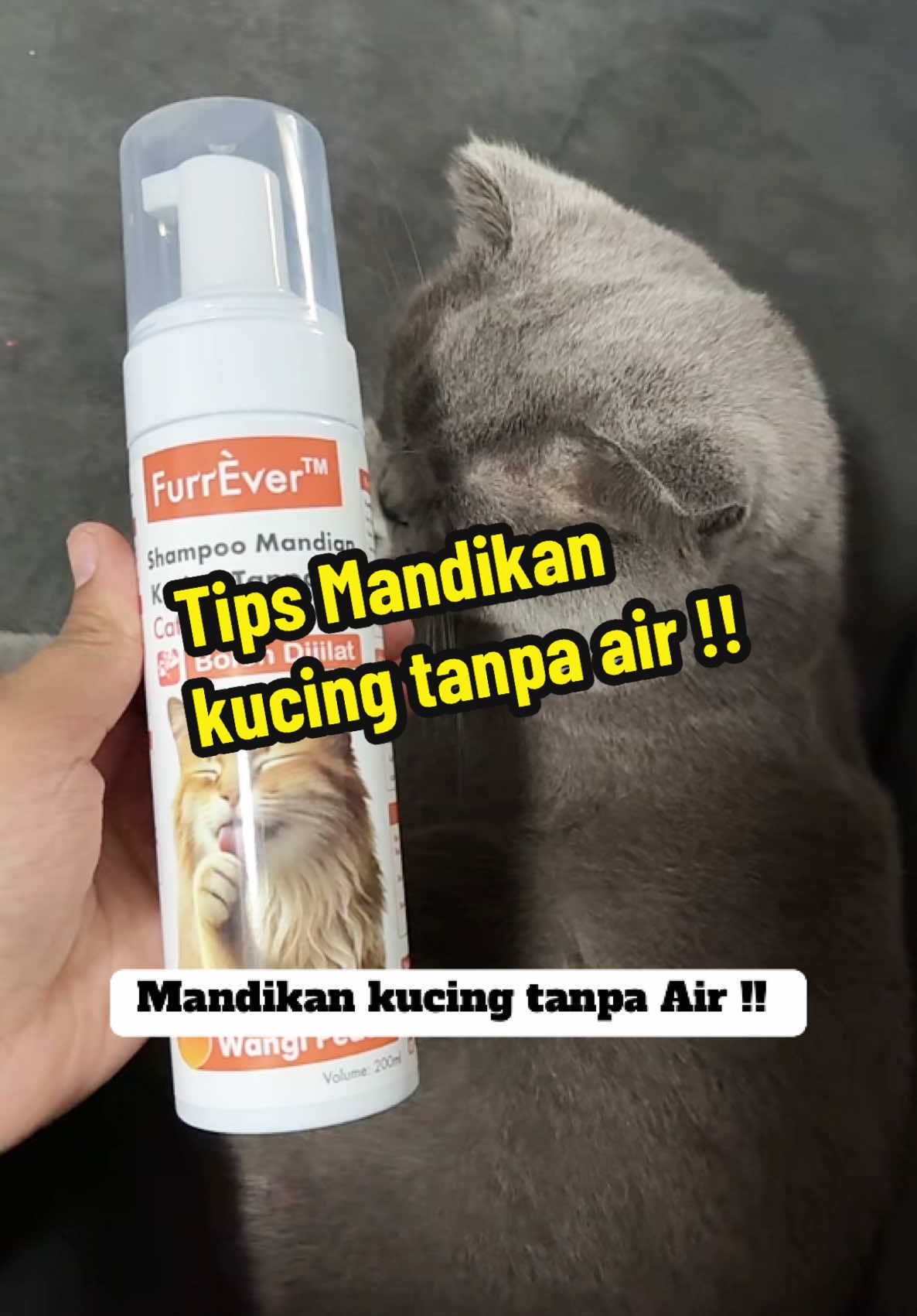 Lepasni selesai masalah kucing korang pun tak bau ushukk dah #catshower 